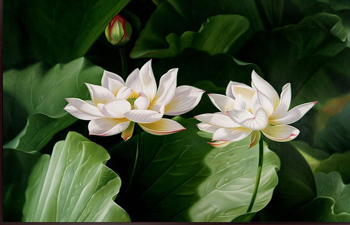 Tranh phong thủy hoa sen trắng mang lại cảm giác thanh cao, yên bình