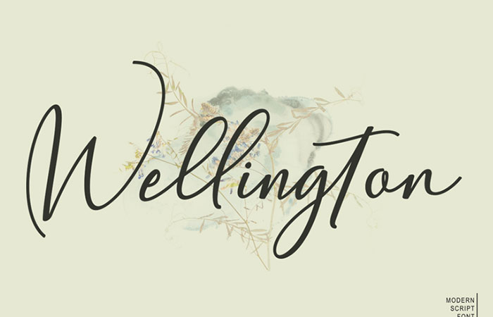 Font Wellington
