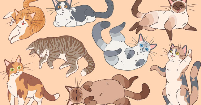 Tải 10+ mẫu con mèo vector đẹp file AI, PSD, PDF, EPS