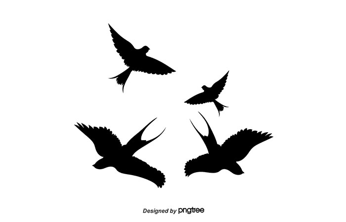 Mẫu thiết kế chim én vector 04