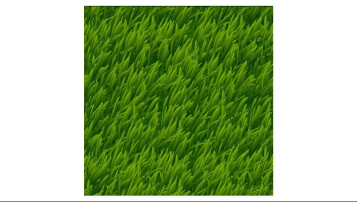 Mẫu thiết kế cỏ vector 03