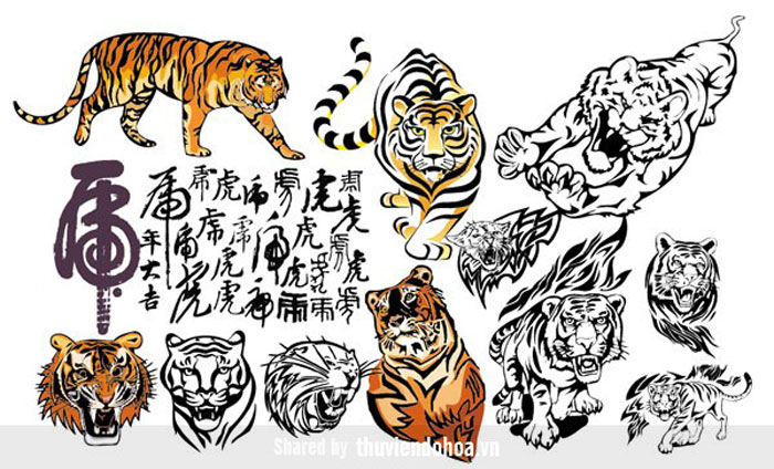 Động vật con hổ con cọp thiết kế Nhâm Dần Vector 9  Vector6com