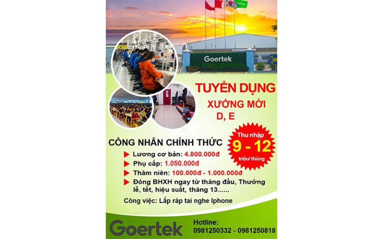 Top 10+ mẫu tờ rơi tuyển dụng đẹp, ấn tượng, thu hút nhân sự