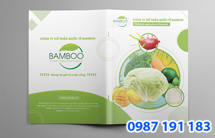 Mẫu catalogue giới thiệu của công ty CP QT Bamboo