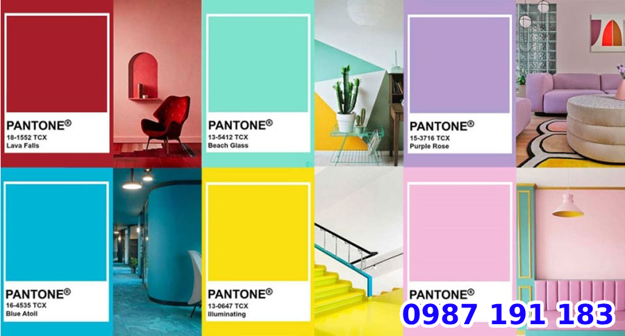 Ứng dụng của màu Pantone trong in ấn