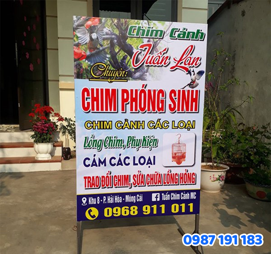 bảng chân đứng tại Sắc Kim mẫu 02