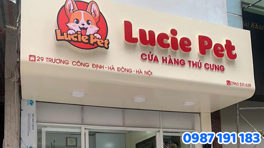 Bảng hiệu Pet Shop là gì? Cần lưu ý gì khi thiết kế?