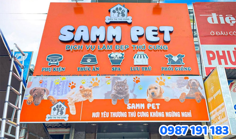 Thiết kế bảng hiệu cho Pet Shop cần lưu ý những gì?